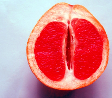 Questões polêmicas sobre o sexo